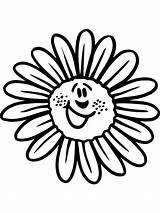 Pages Chamomile Coloring Flower sketch template