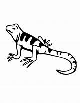 Lizard Coloring Pages Kids Cartoon Printable Gecko Lizards Color Clip Clipart Cliparts Print Graphics Small Template Drawings Library Popular Choose sketch template