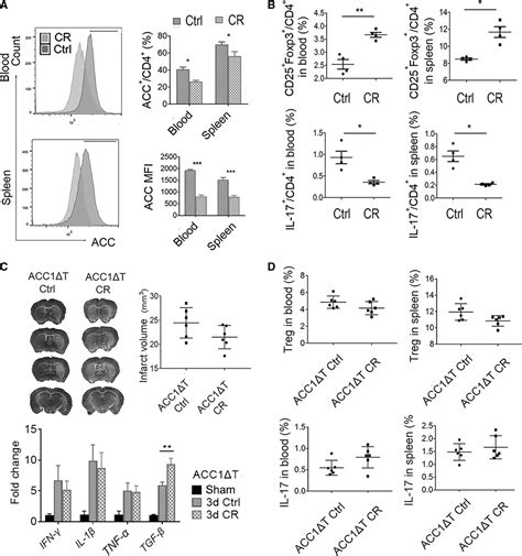 acc1 acetyl coenzyme a carboxylase 1 is a potential immune modulatory