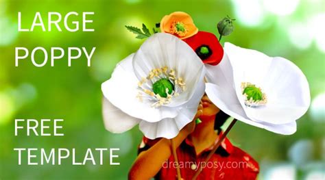 large paper poppy flower  tutorial  template