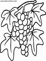 Coloring Sherriallen Grapes sketch template