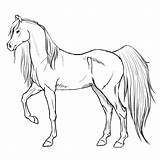 Arabian Lineart Unicorn sketch template