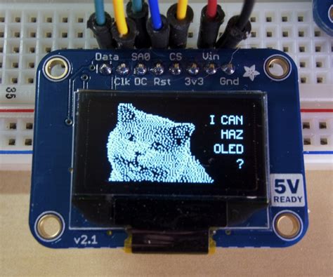 overview ssd1306 oled displays with raspberry pi and beaglebone black