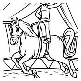 Voltigieren Malvorlage Pferde Reiten Malvorlagen Pferd Ausmalen Ausmalbild Gefallen sketch template