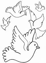 Mewarnai Burung Dara Merpati Animasi Gambar Bergerak Serupa Kategori sketch template