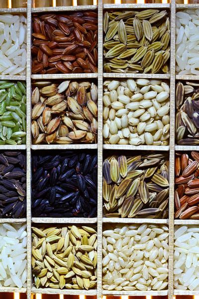 difference  hyv seeds  traditional seeds compare