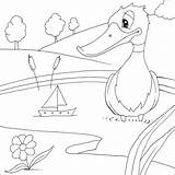 Ducky Pato Colorir Barquinho Kumpulan Mewarnai Desenhos sketch template