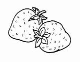 Strawberry Coloring Erdbeere Kostenlos Malvorlage Ausdrucken Malvorlagen Erdbeer Coloringtop Drucken Shortcake sketch template