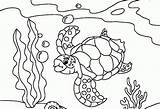 Coloring Turtle Pages Printable Kids Comments sketch template