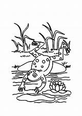 Frog Pond Coloring Pages Lily Pad Jump Frogs Sit After Kids Color Colorluna Life Theme Water Book Popular Plants sketch template