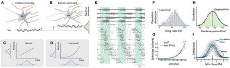 Frontiers Neuronal Population Activity In Spinal Motor Circuits