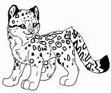 Ocelot Coloring Pages Getcolorings Leopard Color sketch template
