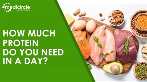 How Much Protein Do You Need In A Day