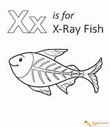 Fish Coloring Xray Pages Letter Printable Ray Color Kids Playinglearning Preschool Sheet Uppercase Lowercase Sheets Through Book Animal Popular Choose sketch template