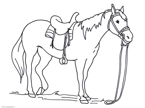 horse coloring pages print color craft