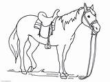 Horse Coloring Pages Printable Print Color Animals Kids Craft Related Posts sketch template