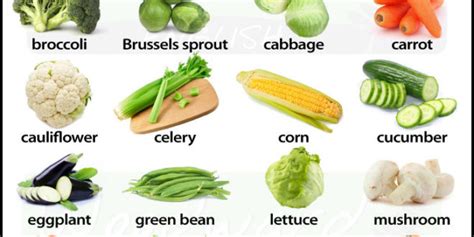 list  common vegetables  garden