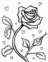 Coloring Roses Pages Kids Printable Hearts sketch template