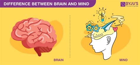 Brain Vs Mind The Contest Between Reasoning And Imagination