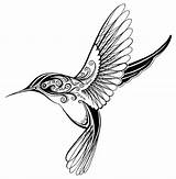 Hummingbird Simple Outline Drawing Tattoo Bird Birds Humming Hummingbirds Drawings Sketch Draw Template Coloring Pages Color Tattoos sketch template