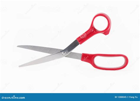 scissors royalty  stock photo image