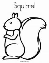 Coloring Squirrel Pages Kids Popular sketch template