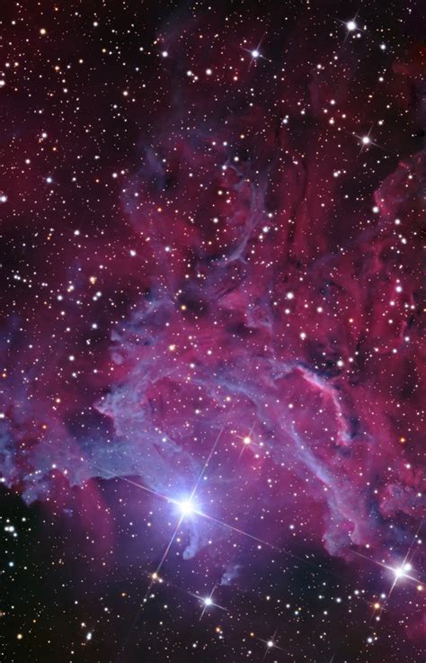 peony nebula star sex pictures