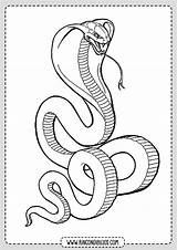 Serpiente Serpientes Rincondibujos Imprimir Boceto Rincon Artículo Muy sketch template