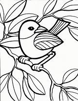 Coloring Pages Bird Lab sketch template