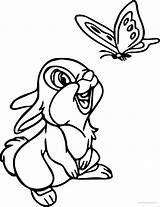 Bambi Thumper Bunny Schmetterling Malvorlagen Hase Clipartmag Malvorlage G30 Nailbeauty sketch template