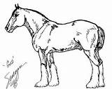 Clydesdale Coloring Pages Horse Color Gus Draft Horses Realistic Outline Drawings Kids Getcolorings Printable Print Getdrawings Template sketch template