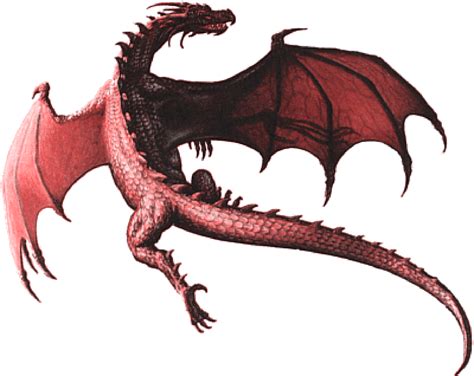 red dragon pictures images clipart