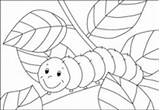 Bruco Caterpillar Raupe Stampare Kigaportal Kiga sketch template