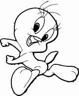 Looney Tunes Coloring Elmer Fudd Tweety sketch template