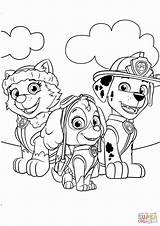 Paw Patrol Coloring Pages Everest Getcolorings sketch template