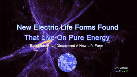 electric life forms     pure energy youtube
