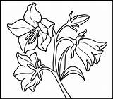 Coloring Pages Flower Printable Bellflower Color Sheets Numbers Flowers Coloritbynumbers Adult Printables Colouring Number Kids Books Crayola Easy Step 92kb sketch template