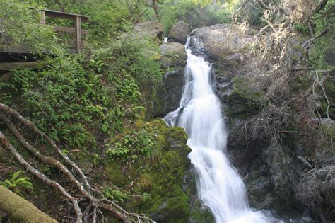cascade falls  gentle suburban waterfall hike  fairfax
