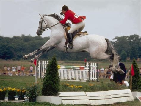 olympic equestrian eventing  horse shows  olympic equestrian eventing