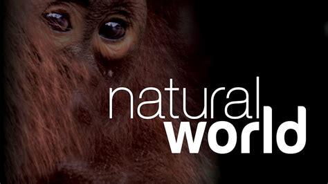 Bbc Two Natural World