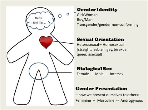 Gender Identity And Sexual Orientation What’s It All Mean