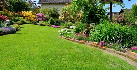 achieve  perfect lawn diy garden