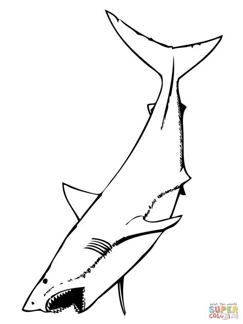 printable great white shark coloring pages  printable