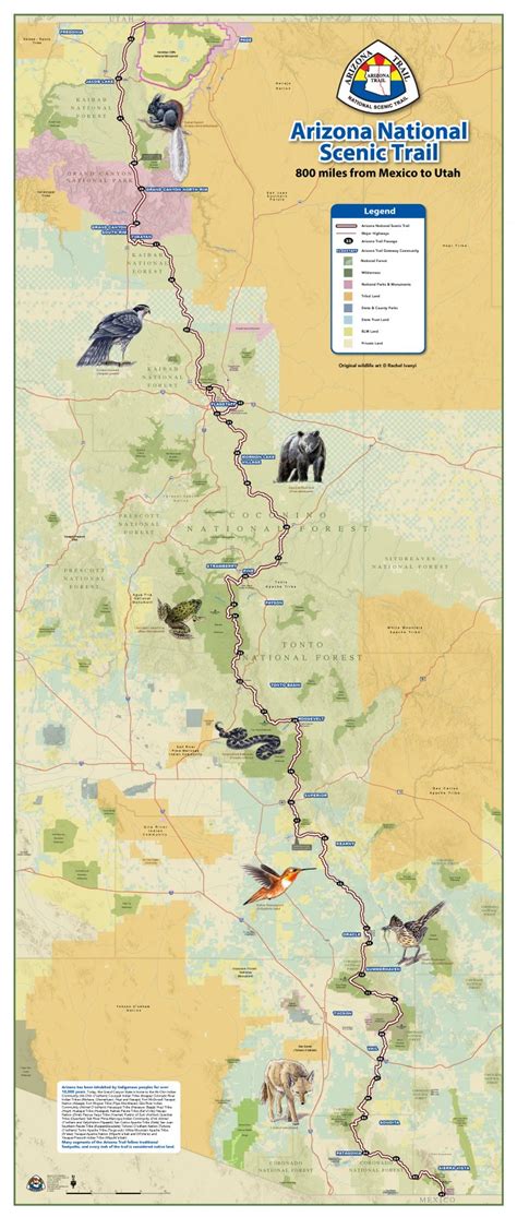 big map   az trail explore  arizona trail