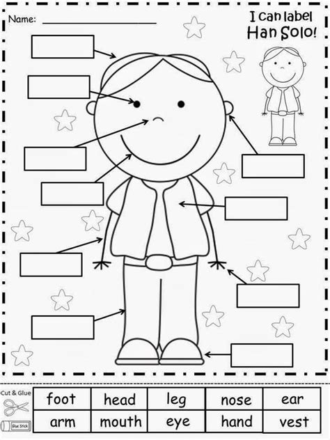 kids learning cutout coloring worksheet  body parts