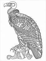 Vulture Mandala Adult Kolorowanka Gst Afryka Coloringbay sketch template