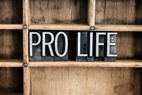 pro life   support    life  preborn human beings