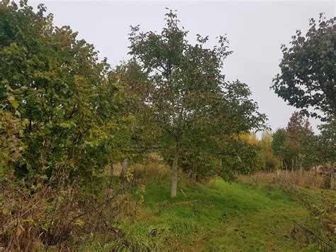 seminars and field trips in a swedish agroforestry