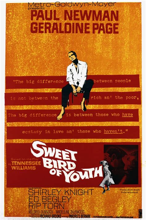 Sweet Bird Of Youth Rotten Tomatoes