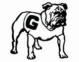 Georgia Coloring Bulldog Bulldogs Pages Drawings University Printable Logo Print Color Drawing Clipart Template Getcolorings Colouring Getdrawings Col Paintingvalley Comments sketch template